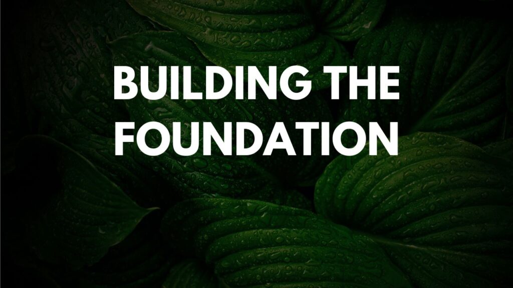 Building the Foundation​